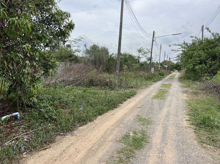 ใช่ 💖 ที่ดิน พัฒนานิคม ราคาพิเศษ! 💖 รูปที่ 3