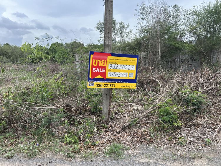 💖 ที่ดิน พัฒนานิคม ราคาพิเศษ! 💖