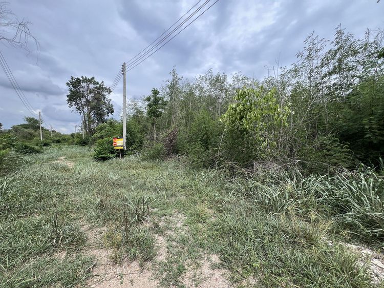 ใช่ 💖 ที่ดิน พัฒนานิคม ราคาพิเศษ! 💖 รูปที่ 2