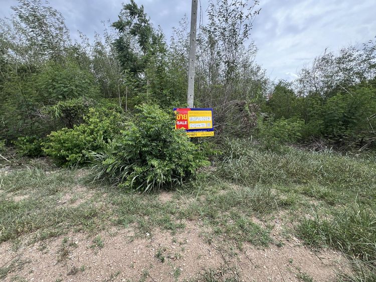 💖 ที่ดิน พัฒนานิคม ราคาพิเศษ! 💖