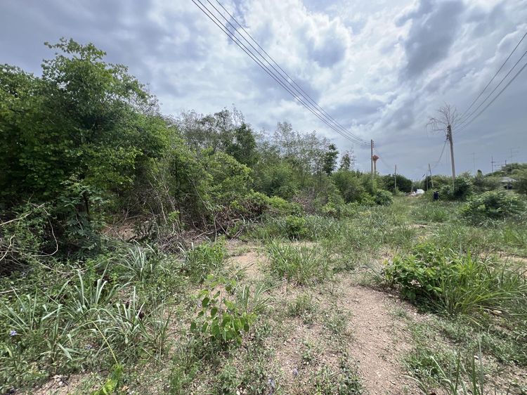 ใช่ 💖 ที่ดิน พัฒนานิคม ราคาพิเศษ! 💖 รูปที่ 3