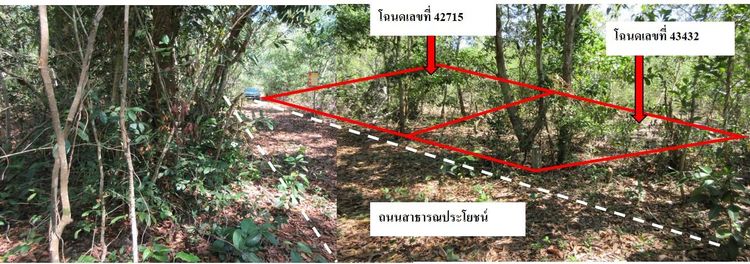 ใช่ 💖 ที่ดิน เมืองนราธิวาส ราคาพิเศษ! 💖 รูปที่ 4