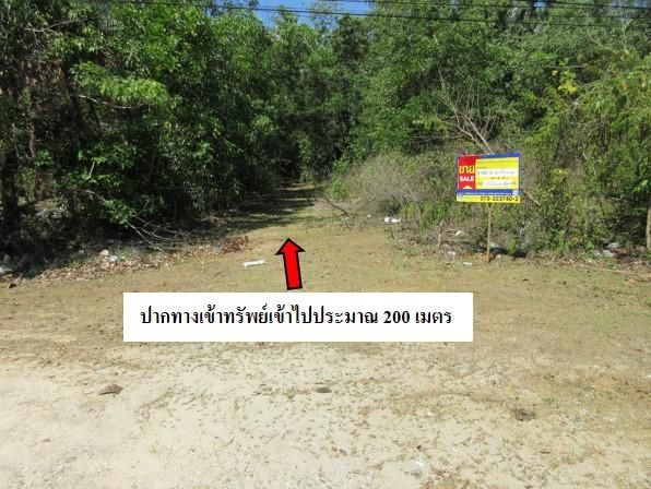 āđāļāđ ð āļāļĩāđāļāļīāļ āđāļĄāļ·āļāļāļāļĢāļēāļāļīāļ§āļēāļŠ āļĢāļēāļāļēāļāļīāđāļĻāļĐ! ð āļĢāļđāļāļāļĩāđ 3