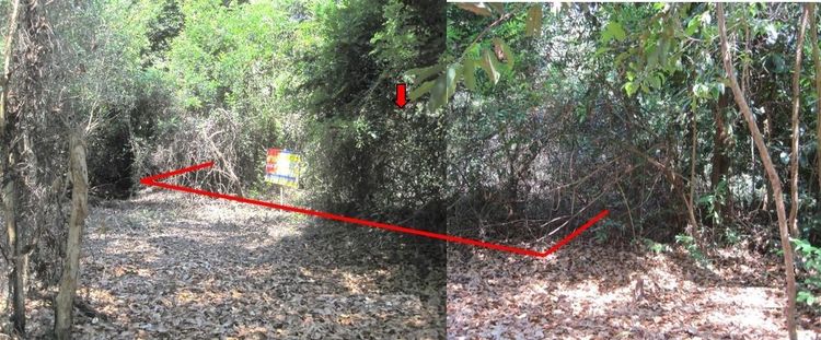 💖 ที่ดิน เมืองนราธิวาส ราคาพิเศษ! 💖