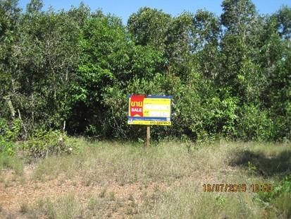 💖 ที่ดิน ตากใบ ราคาพิเศษ! 💖