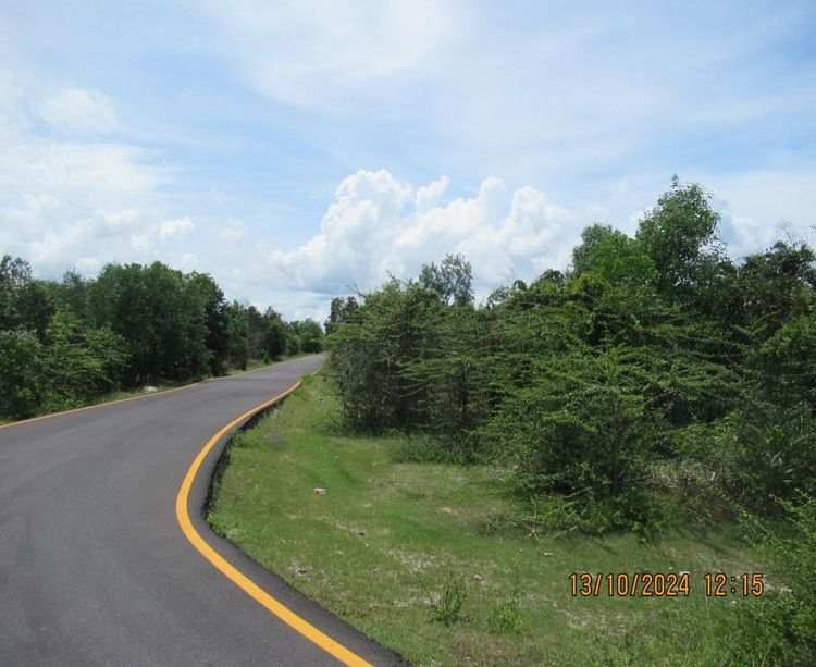 ใช่ 💖 ที่ดิน ตากใบ ราคาพิเศษ! 💖 รูปที่ 4