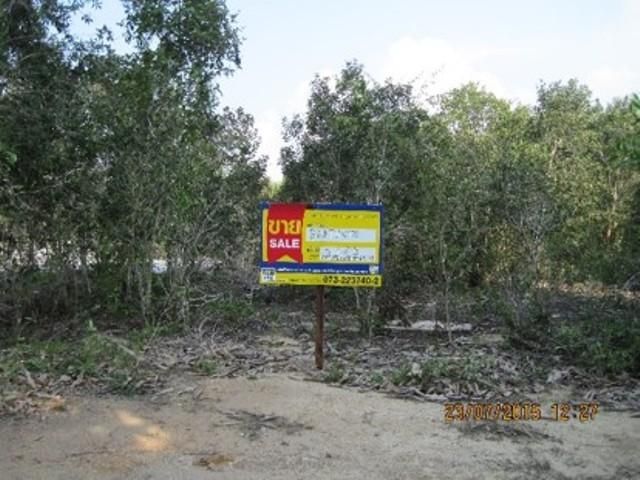 💖 ที่ดิน ตากใบ ราคาพิเศษ! 💖