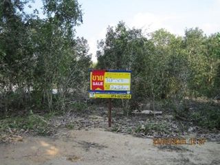 💖 ที่ดิน ตากใบ ราคาพิเศษ! 💖