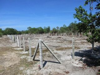 💖 ที่ดิน ตากใบ ราคาพิเศษ! 💖