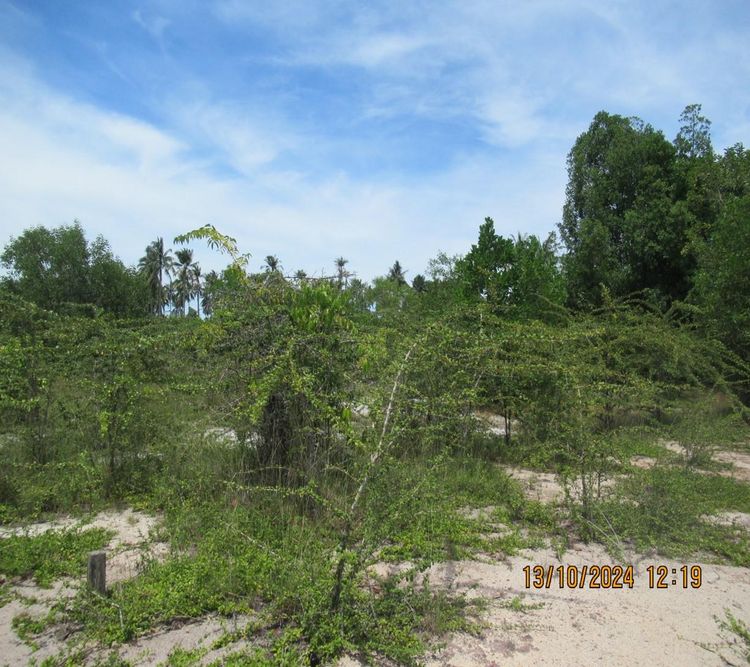 āđāļāđ ð āļāļĩāđāļāļīāļ āļāļēāļāđāļ āļĢāļēāļāļēāļāļīāđāļĻāļĐ! ð āļĢāļđāļāļāļĩāđ 3