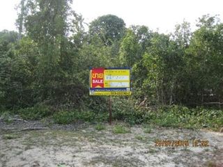 💖 ที่ดิน ตากใบ ราคาพิเศษ! 💖