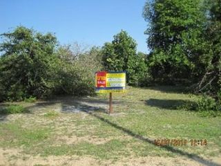 💖 ที่ดิน ตากใบ ราคาพิเศษ! 💖