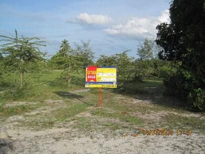 💖 ที่ดิน ตากใบ ราคาพิเศษ! 💖