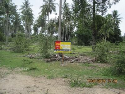 💖 ที่ดิน ตากใบ ราคาพิเศษ! 💖