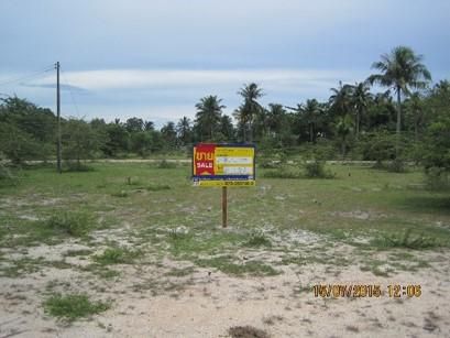 💖 ที่ดิน ตากใบ ราคาพิเศษ! 💖