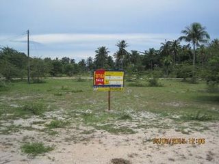 💖 ที่ดิน ตากใบ ราคาพิเศษ! 💖