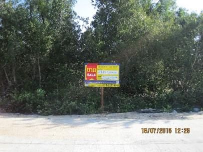 💖 ที่ดิน ตากใบ ราคาพิเศษ! 💖