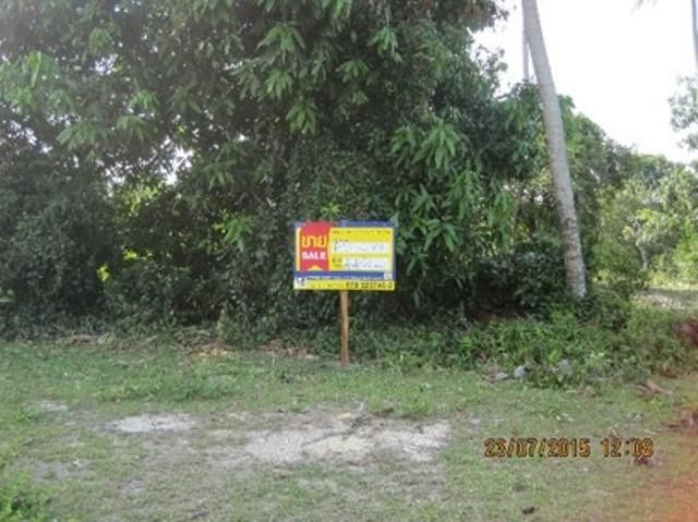 💖 ที่ดิน ตากใบ ราคาพิเศษ! 💖