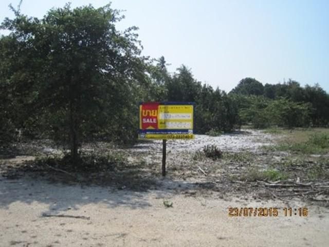 💖 ที่ดิน ตากใบ ราคาพิเศษ! 💖