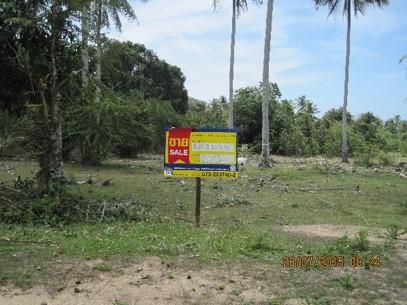 ใช่ 💖 ที่ดิน ตากใบ ราคาพิเศษ! 💖