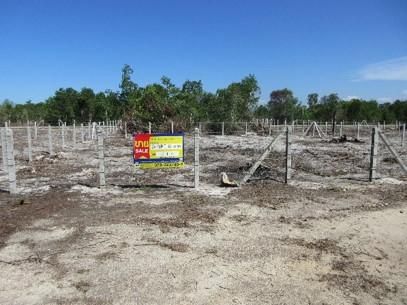 💖 ที่ดิน ตากใบ ราคาพิเศษ! 💖