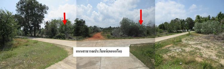 ใช่ 💖 ที่ดิน ตากใบ ราคาพิเศษ! 💖 รูปที่ 2