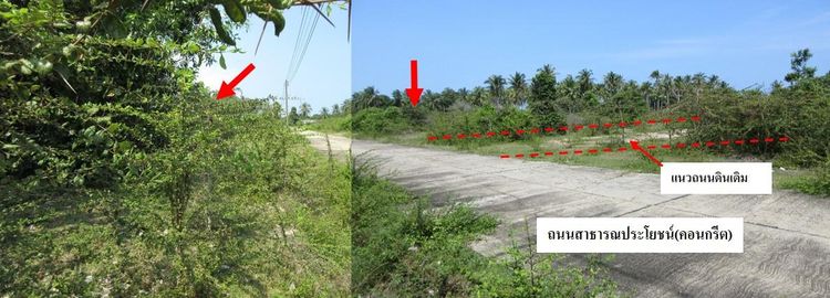💖 ที่ดิน ตากใบ ราคาพิเศษ! 💖