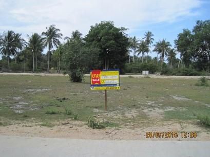 💖 ที่ดิน ตากใบ ราคาพิเศษ! 💖