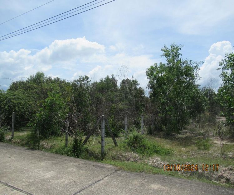 āđāļāđ ð āļāļĩāđāļāļīāļ āļāļēāļāđāļ āļĢāļēāļāļēāļāļīāđāļĻāļĐ! ð āļĢāļđāļāļāļĩāđ 3