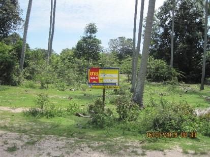 💖 ที่ดิน ตากใบ ราคาพิเศษ! 💖