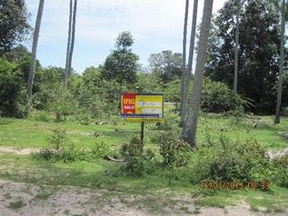 💖 ที่ดิน ตากใบ ราคาพิเศษ! 💖