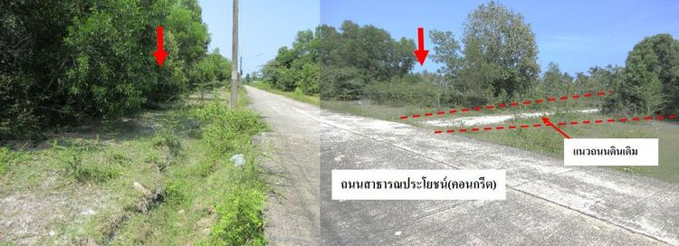 💖 ที่ดิน ตากใบ ราคาพิเศษ! 💖