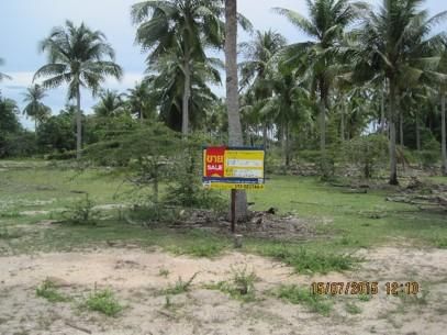 💖 ที่ดิน ตากใบ ราคาพิเศษ! 💖