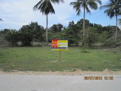 💖 ที่ดิน ตากใบ ราคาพิเศษ! 💖