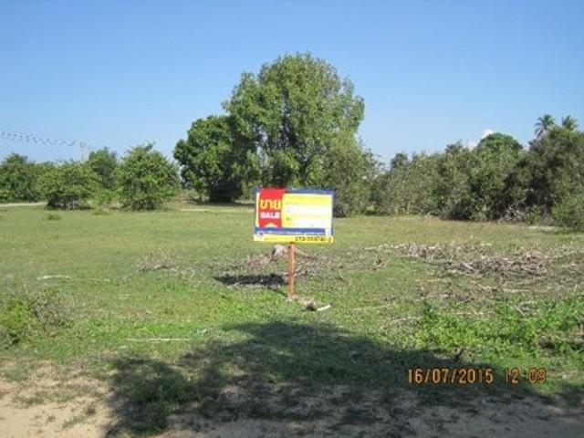 💖 ที่ดิน ตากใบ ราคาพิเศษ! 💖