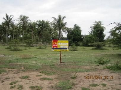 💖 ที่ดิน ตากใบ ราคาพิเศษ! 💖