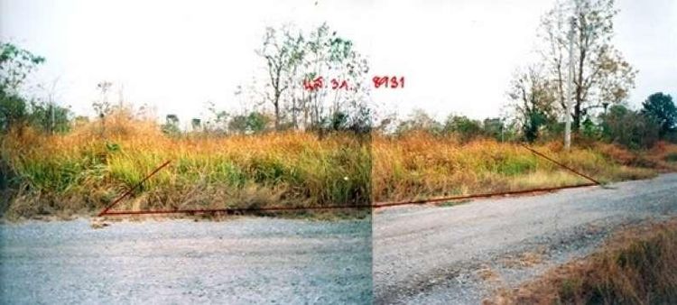 ใช่ 💖 ที่ดิน ปักธงชัย ราคาพิเศษ! 💖 รูปที่ 4