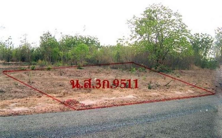 ใช่ 💖 ที่ดิน ปักธงชัย ราคาพิเศษ! 💖 รูปที่ 2