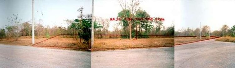 ใช่ 💖 ที่ดิน ปักธงชัย ราคาพิเศษ! 💖 รูปที่ 4