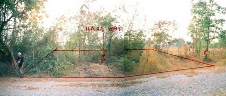 ใช่ 💖 ที่ดิน ปักธงชัย ราคาพิเศษ! 💖 รูปที่ 4