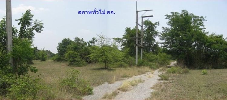 ใช่ 💖 ที่ดิน ปักธงชัย ราคาพิเศษ! 💖 รูปที่ 3