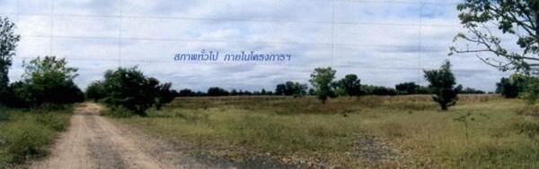 ใช่ 💖 ที่ดิน เมืองนครราชสีมา ราคาพิเศษ! 💖 รูปที่ 4