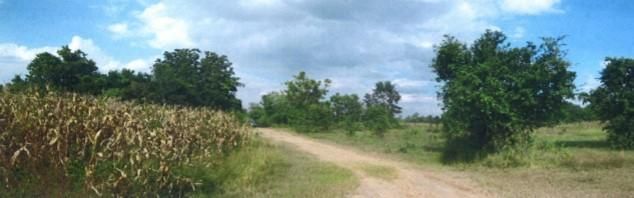 āđāļāđ ð āļāļĩāđāļāļīāļ āđāļĄāļ·āļāļāļāļāļĢāļĢāļēāļāļŠāļĩāļĄāļē āļĢāļēāļāļēāļāļīāđāļĻāļĐ! ð āļĢāļđāļāļāļĩāđ 3