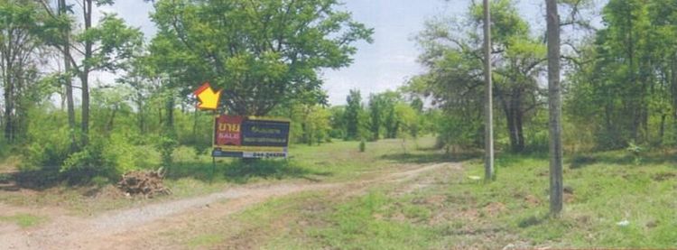 💖 ที่ดิน ปักธงชัย ราคาพิเศษ! 💖