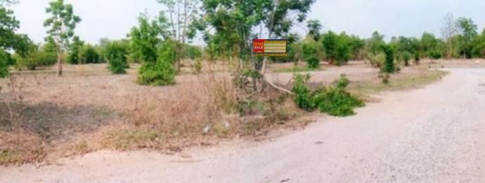 ใช่ 💖 ที่ดิน เมืองนครราชสีมา ราคาพิเศษ! 💖 รูปที่ 4