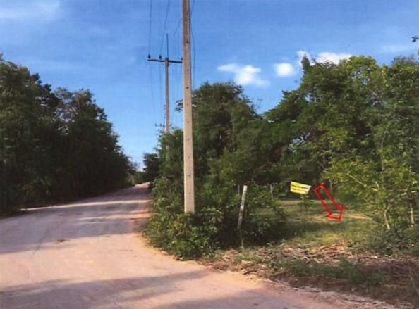 ใช่ 💖 ที่ดิน ปักธงชัย ราคาพิเศษ! 💖 รูปที่ 4