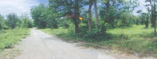 āđāļāđ ð āļāļĩāđāļāļīāļ āļāļąāļāļāļāļāļąāļĒ āļĢāļēāļāļēāļāļīāđāļĻāļĐ! ð āļĢāļđāļāļāļĩāđ 3