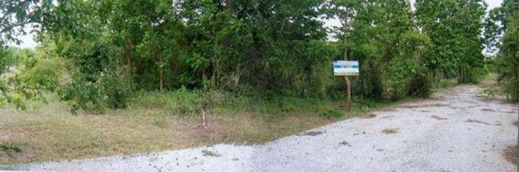 āđāļāđ ð āļāļĩāđāļāļīāļ āļāļąāļāļāļāļāļąāļĒ āļĢāļēāļāļēāļāļīāđāļĻāļĐ! ð āļĢāļđāļāļāļĩāđ 4