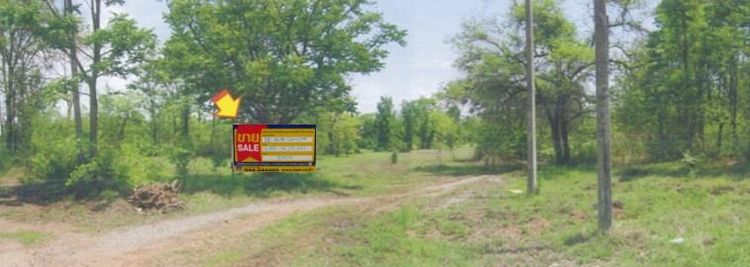 💖 ที่ดิน ปักธงชัย ราคาพิเศษ! 💖