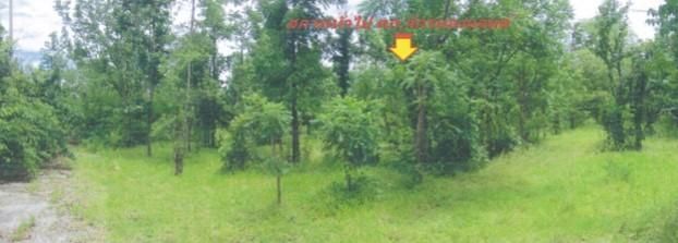 āđāļāđ ð āļāļĩāđāļāļīāļ āļāļąāļāļāļāļāļąāļĒ āļĢāļēāļāļēāļāļīāđāļĻāļĐ! ð āļĢāļđāļāļāļĩāđ 2